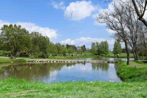 Łowisko Wieniec domki letniskowe basen sauna jacuzzi balia